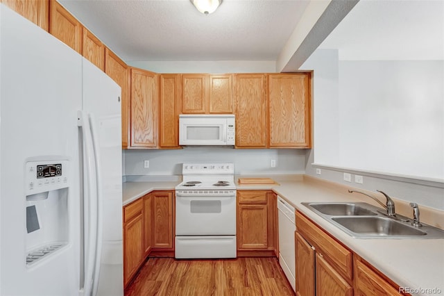 8237 W 54th Ave Unit 2, Arvada, CO 80002 - kitchen featuring white appliances, light wood-style floors, light countertops, and a textured ceiling