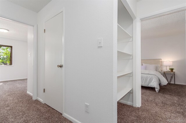 hallway featuring carpet floors