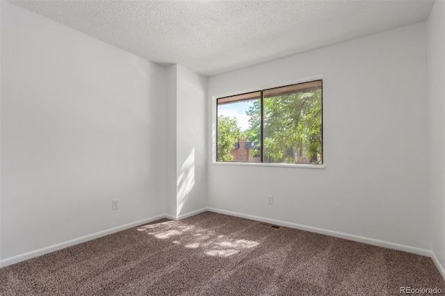 empty room featuring a textured ceiling and carpet flooring