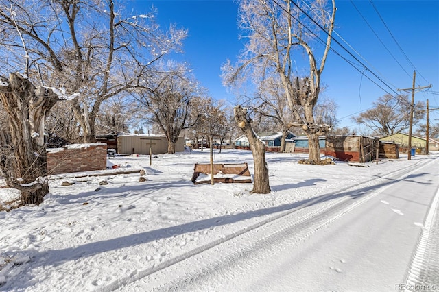 view of yard covered in snow