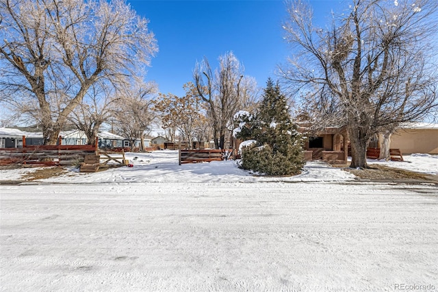 view of yard layered in snow