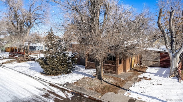 view of snowy yard