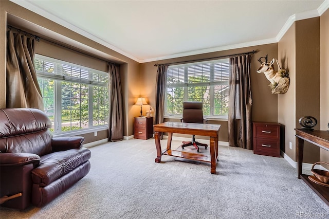 3400 Elk Run Dr, Castle Rock, CO 80109 - photo 9