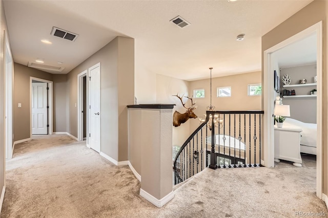 3400 Elk Run Dr, Castle Rock, CO 80109 - photo 20