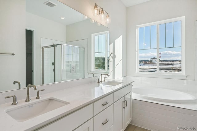 bathroom with vanity and separate shower and tub