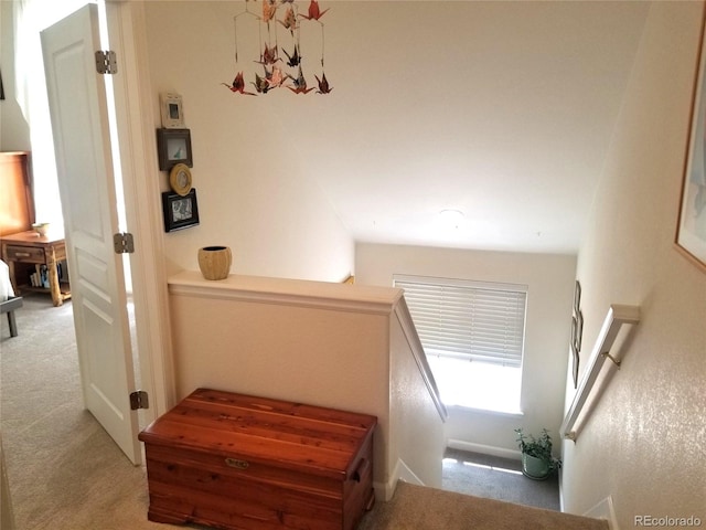 2240 S Pagosa Ct Unit B, Aurora, CO 80013 - bedroom featuring carpet floors