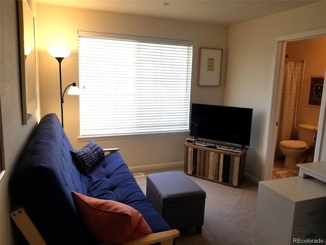 2240 S Pagosa Ct Unit B, Aurora, CO 80013 - living room featuring carpet floors and baseboards