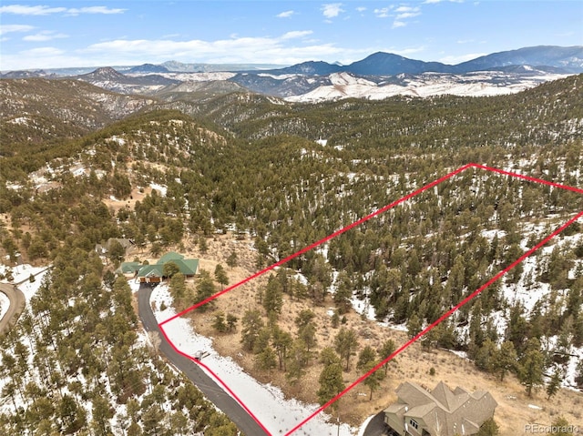 13817 Gordon Ct, Pine, CO 80470