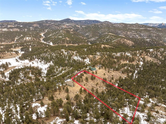 13817 Gordon Ct, Pine, CO 80470