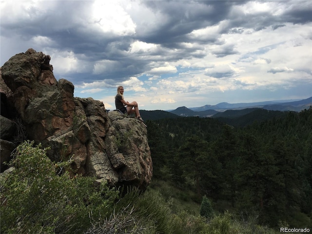 13817 Gordon Ct, Pine, CO 80470