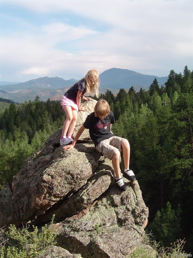 13817 Gordon Ct, Pine, CO 80470