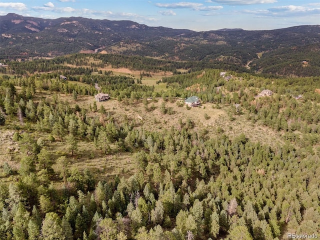 13817 Gordon Ct, Pine, CO 80470