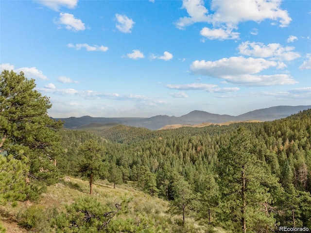 13817 Gordon Ct, Pine, CO 80470