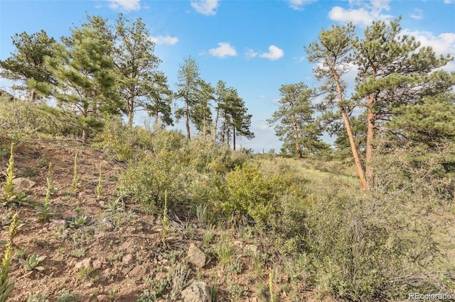 13817 Gordon Ct, Pine, CO 80470