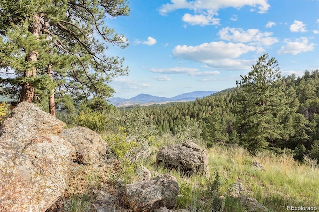 13817 Gordon Ct, Pine, CO 80470