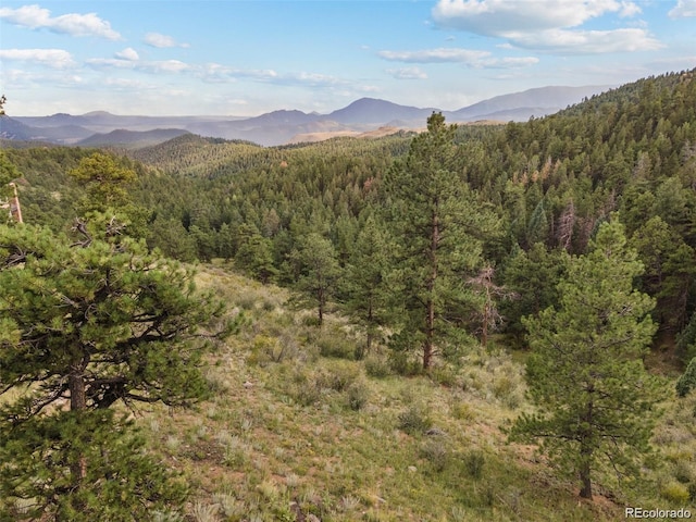 13817 Gordon Ct, Pine, CO 80470