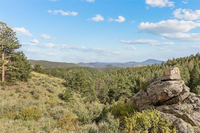 13817 Gordon Ct, Pine, CO 80470