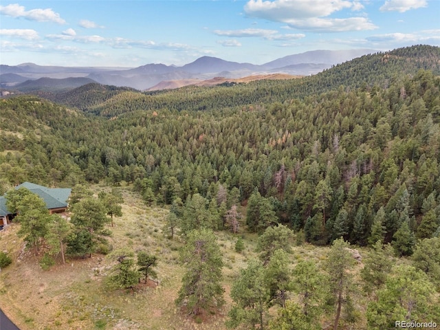 13817 Gordon Ct, Pine, CO 80470