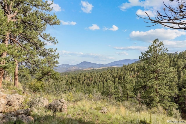 13817 Gordon Ct, Pine, CO 80470