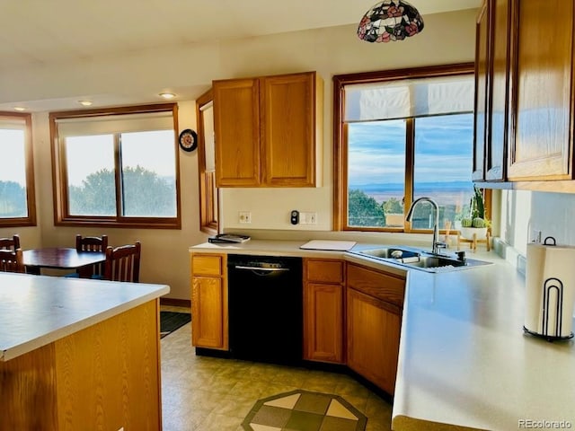 kitchen with sink, black dishwasher, and a wealth of natural light