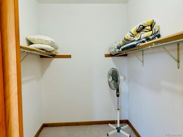 view of spacious closet