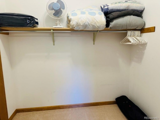 walk in closet with light colored carpet