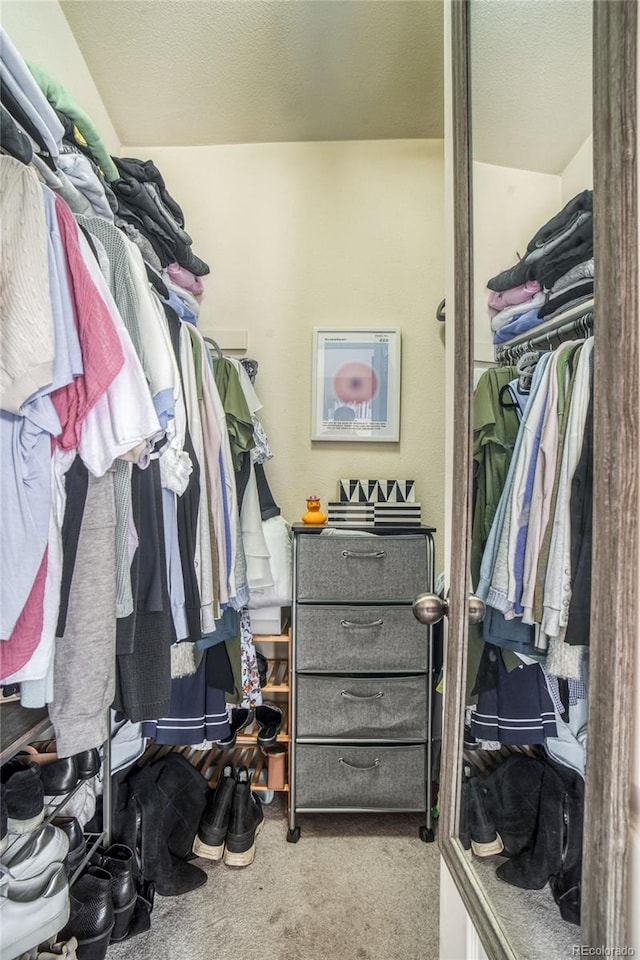 2479 S High St, Denver, CO 80210 - walk in closet featuring carpet floors
