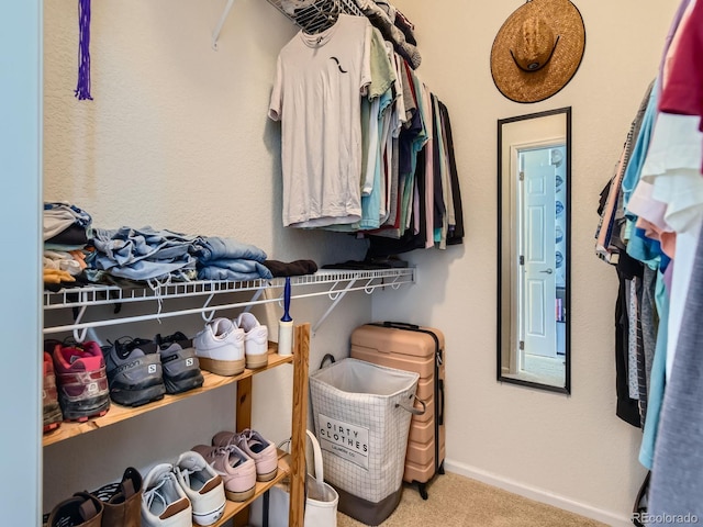 15700 E Jamison Dr Unit 7-203, Englewood, CO 80112 - walk in closet featuring carpet flooring