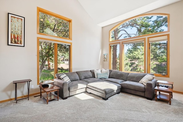 2397 Hearth Dr, Evergreen, CO 80439 - photo 11