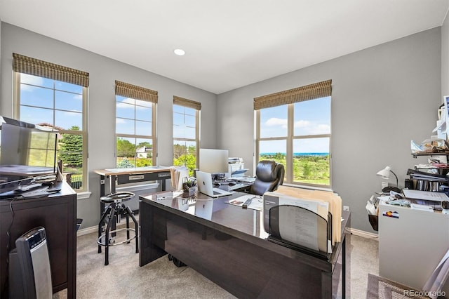 2373 S Joyce St, Denver, CO 80228 - office with light carpet, plenty of natural light, and baseboards