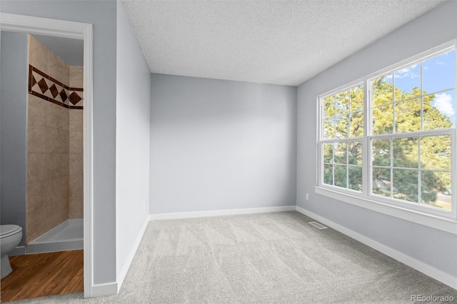 carpeted spare room featuring a textured ceiling