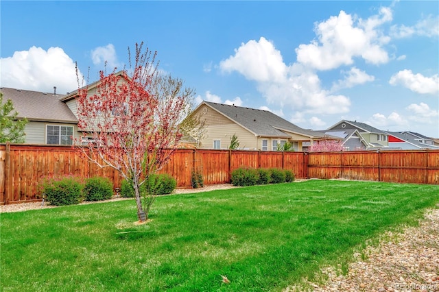 view of yard featuring a fenced backyard