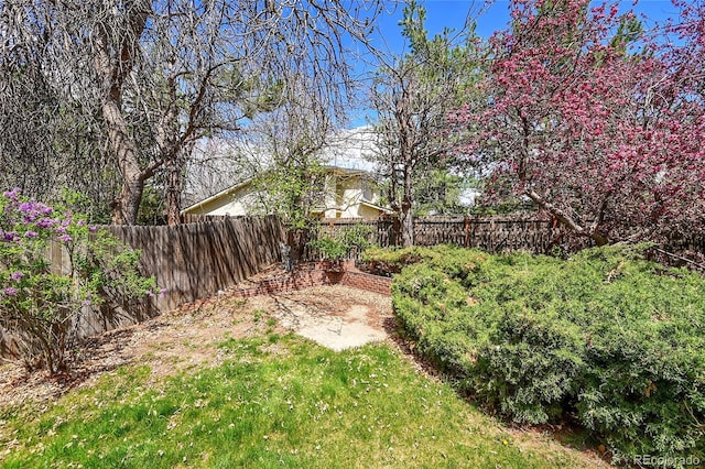 view of yard