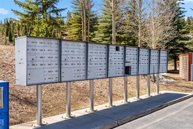 view of community featuring mail area