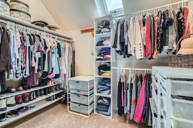 821 S High St, Denver, CO 80209 - walk in closet featuring lofted ceiling and carpet flooring