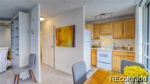 kitchen featuring rail lighting, sink, light carpet, white appliances, and exhaust hood