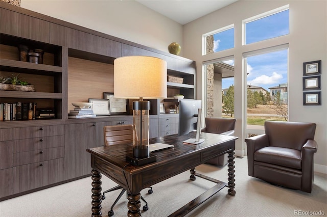 office with built in shelves and light colored carpet