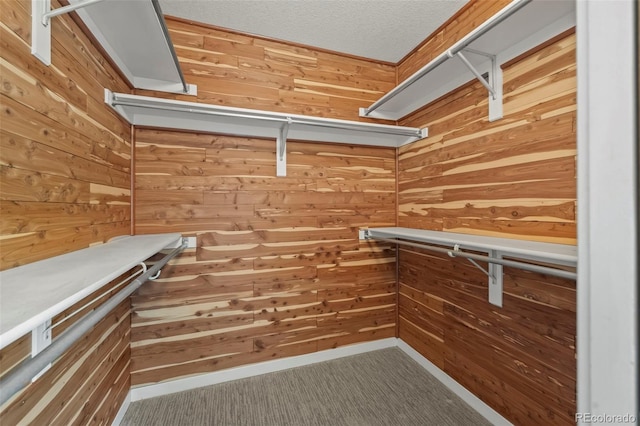 584 Ridgeview Dr, Louisville, CO 80027 - walk in closet with carpet floors
