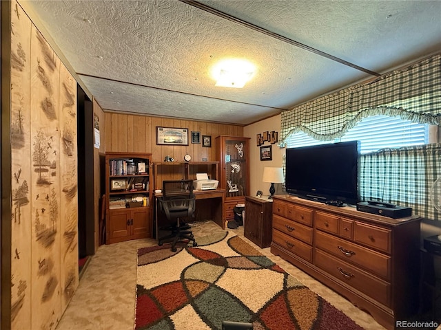 21300 County Road 13, La Jara, CO 81140 - home office featuring wooden walls, a textured ceiling, and light colored carpet