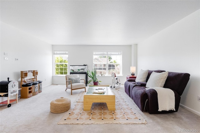 5861 Mt Shadows Blvd, Firestone, CO 80504 - carpeted living area featuring baseboards