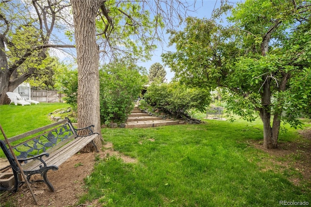 9045 W Ithaca Pl, Denver, CO 80235 - view of yard