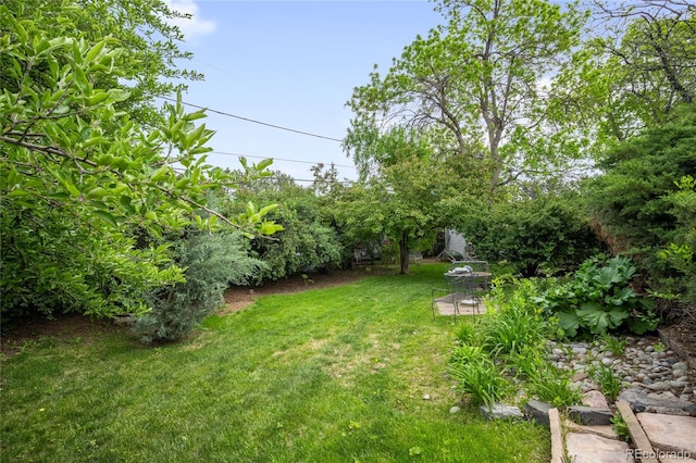 9045 W Ithaca Pl, Denver, CO 80235 - view of green lawn