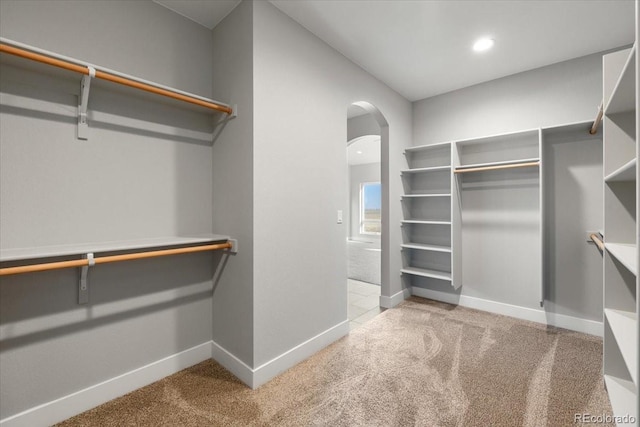 spacious closet with carpet floors