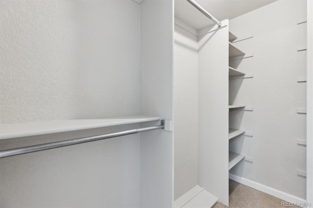 spacious closet with carpet floors