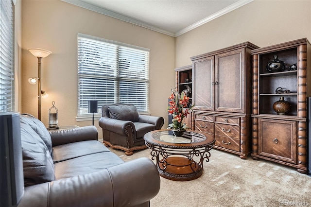 living room featuring crown molding and carpet flooring