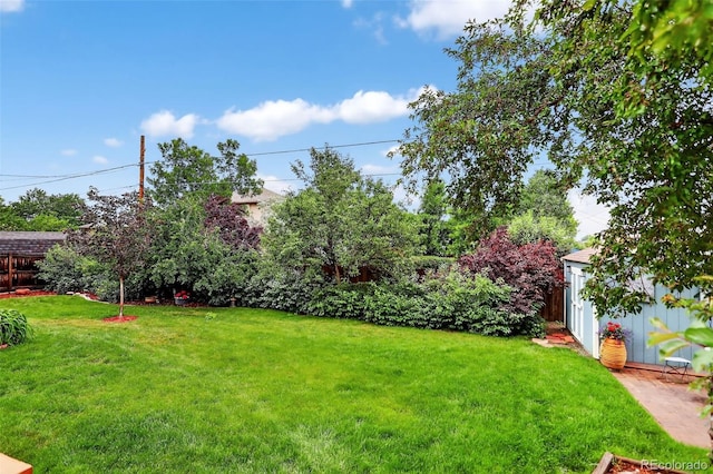 11835 W 37th Pl, Wheat Ridge, CO 80033 - view of yard with a shed