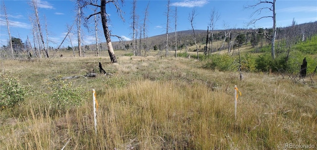 1547 Cary Ln, Fort Garland, CO 81133