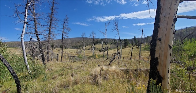 1547 Cary Ln, Fort Garland, CO 81133