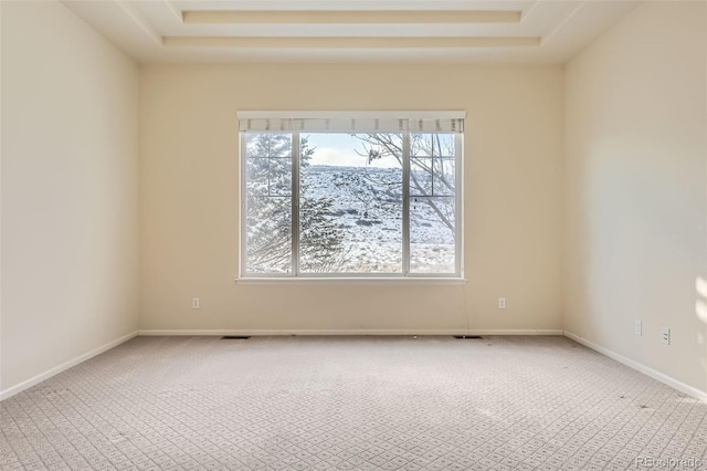 empty room with a raised ceiling and carpet floors