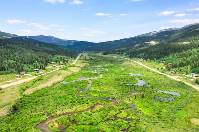 view of community featuring a mountain view